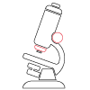 Acide glycolique renouvellement cellulaire